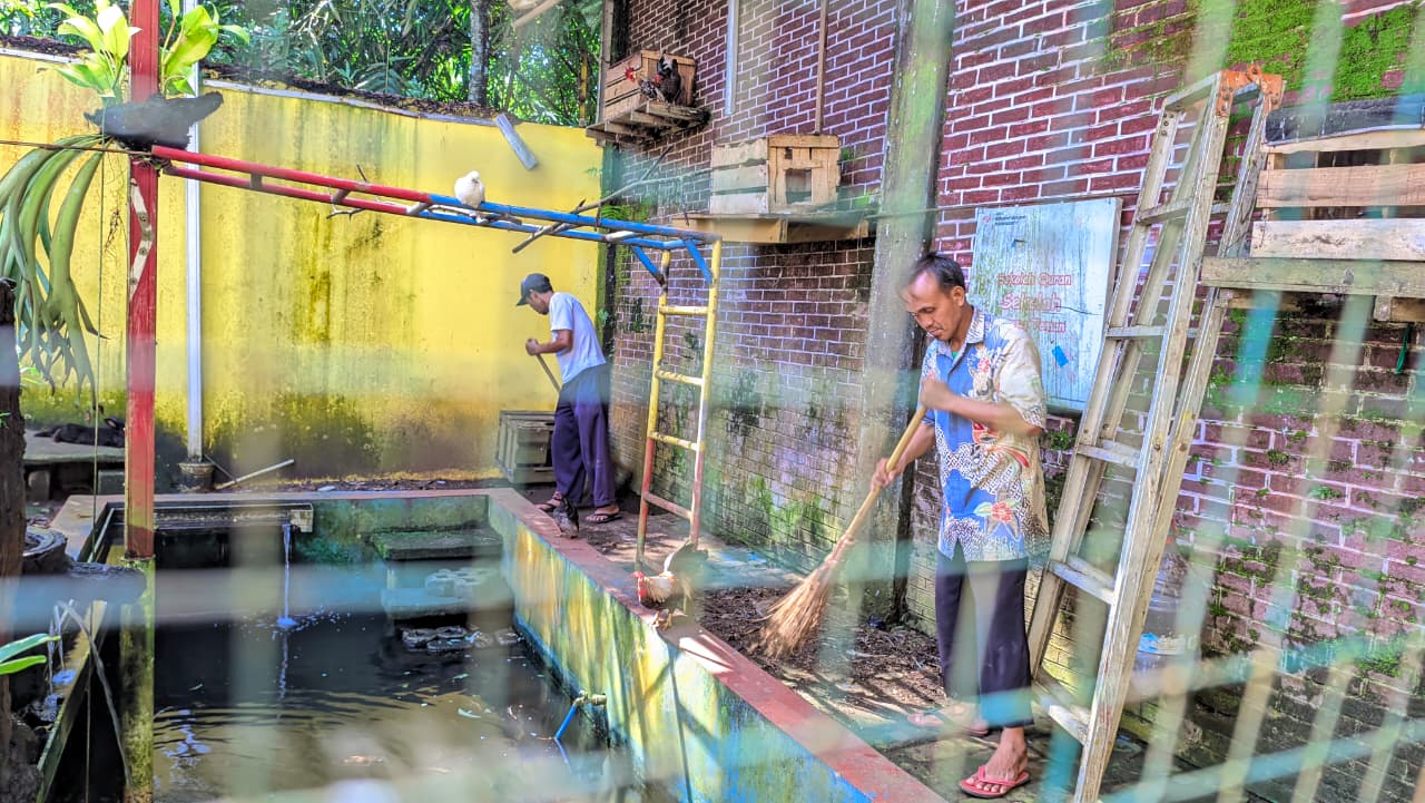Aviari Sekolah Jadi Media Edukasi, Tim Sarpras K7 Lakukan Perawatan Rutin
